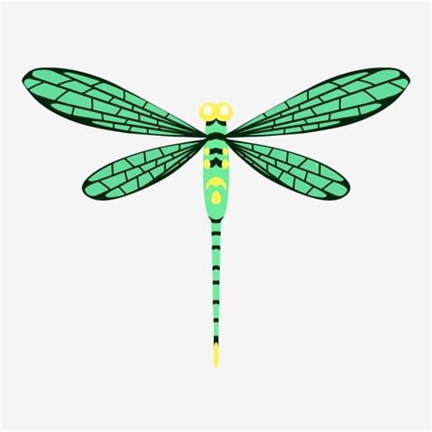 Cartoon Dragonfly Png Picture Cartoon Green Dragonfly Illustration