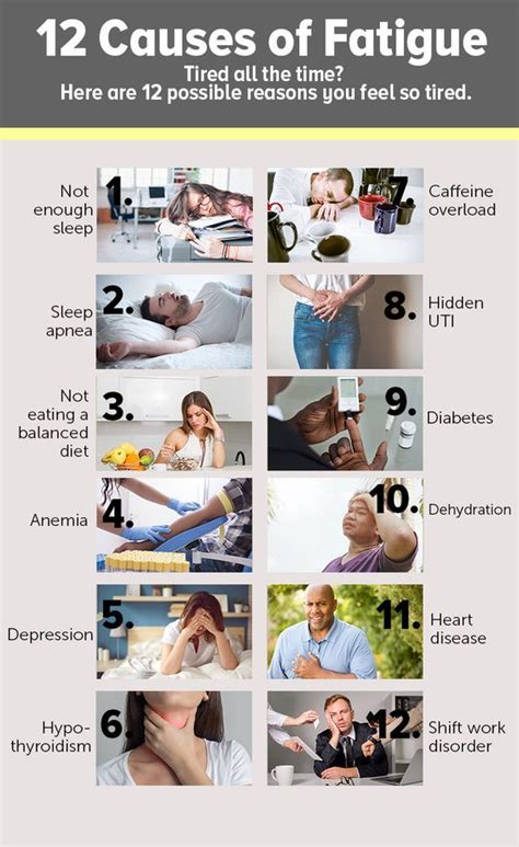 Discover The 12 Reasons Why You May Feel Tired All The Time Healthy