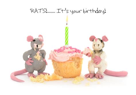 Rats Its Your Birthday Birthday Card