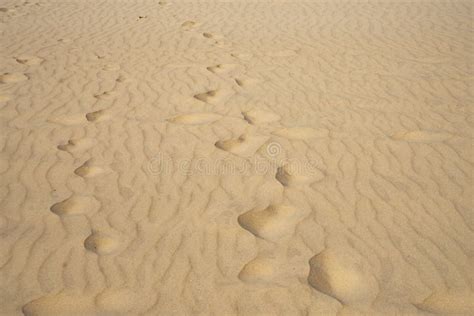Foot Steps On The Sand Desert Stock Image Image Of Dune Holiday