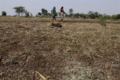 Climate Change Impact On Agriculture Leads To 15 Per Cent Loss In