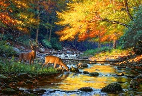 Wild Animals Nature Rocks Mountain Forest Paintings Enchanting Deers
