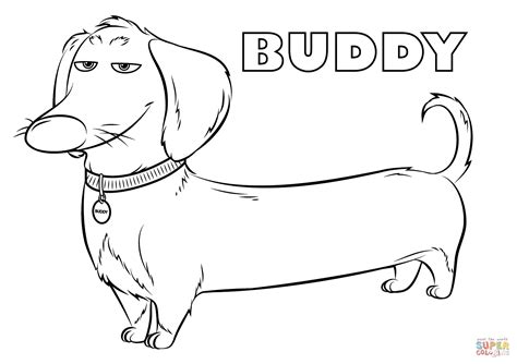 Buddy From The Secret Life Of Pets Coloring Page Free Printable