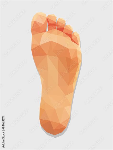 Foot Left Leg Bottom View Low Poly Polygon Stock Illustration Adobe Stock