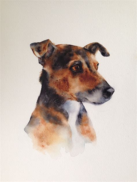 Jack Russell Terrier A Watercolour Painting By Artist Jane Davies