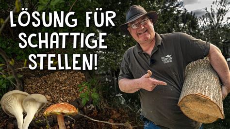 Pilze züchten im eigenen Garten 3 Anbau Methoden für