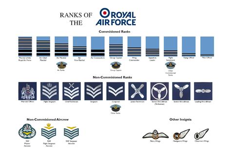 Large A3 Ranks Of The Royal Air Force Raf Poster Rank Structure New