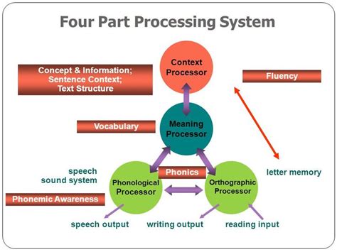Four Part Processing Model