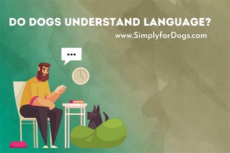 Do Dogs Understand Language Myths And Facts Simply For Dogs