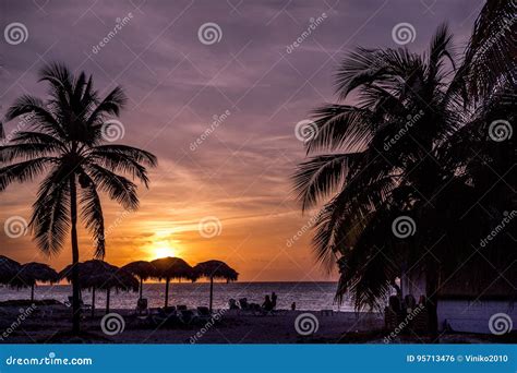 Sunset Over Beach Cuba Stock Photo Image Of Palms Early 95713476