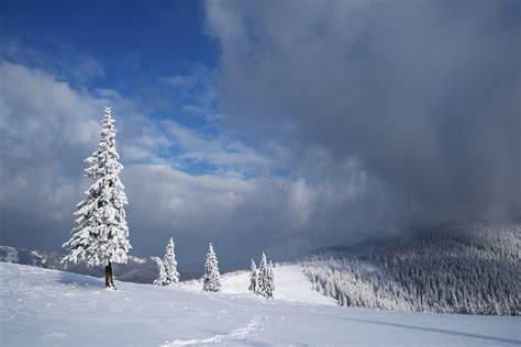 Clouds Over Winter Forest