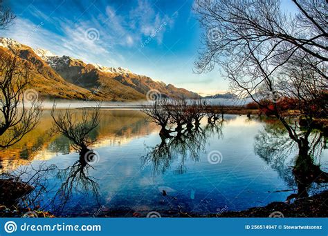 Glenorchy S Famous Willow Trees Growing Out Of Lake Wakatipu At Dawn