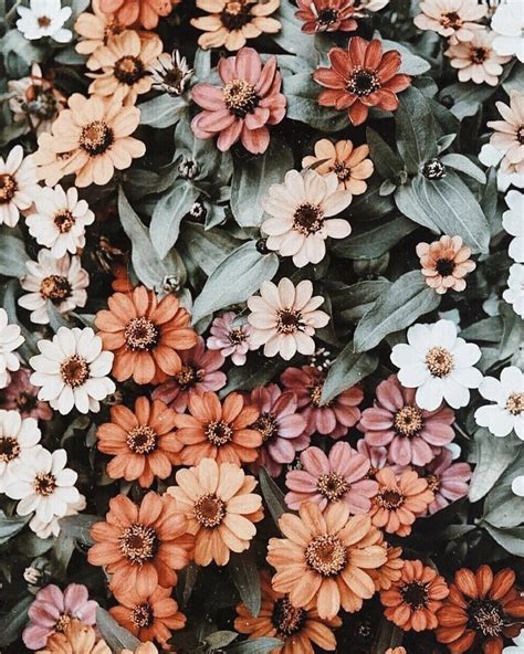 15 Excellent Wallpaper Aesthetic Floral You Can Use It For Free