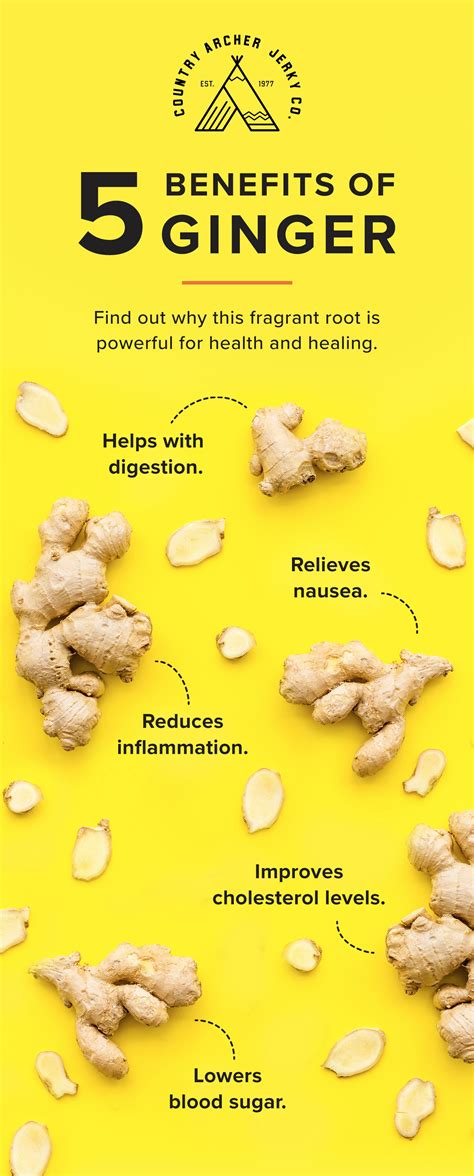 The Many Health Benefits Of Ginger Root Tea Just Tea