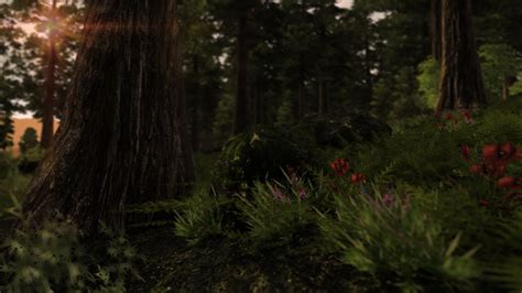 Forest Glade At Oblivion Nexus Mods And Community