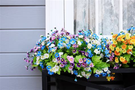 Your Guide To A Blooming Window Box My Weekly