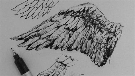 Wings are one of my favorite things to draw. Pen & Ink Drawing Tutorials | How to draw wings - YouTube