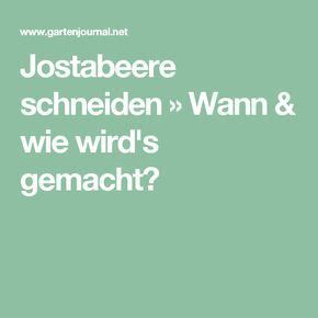 Folgt uns auf facebook & bleibt weiterhin auf dem laufenden ✅. Jostabeere schneiden » Wann & wie wird's gemacht ...
