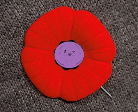 5 Things You Should Know About Poppy Etiquette For Remembrance Day R