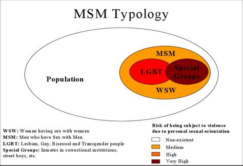 Figure1 Typology Of Men Having Sex With Men Download Scientific Diagram