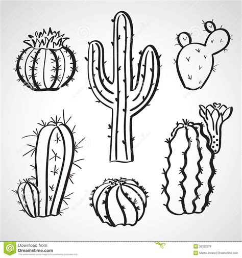 Ink Style Hand Drawn Sketch Set Cactus Set Cactus Drawing How To