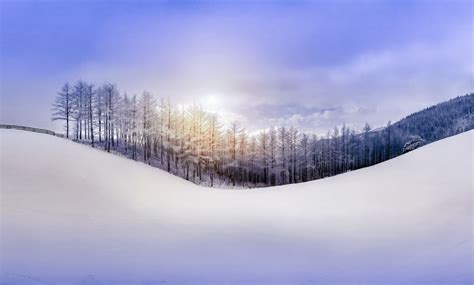 Nature Sky Forest Snow Hill Winter Wallpaper 2500x1508