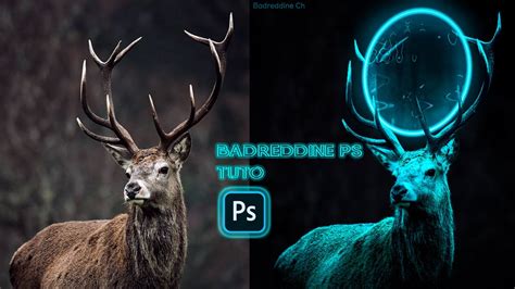 Photoshop Manipulation How To Create A Fantasy Glowing Deer With Adobe