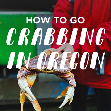 Our 2021 property listings offer a large selection of 1,894 vacation rentals around central oregon coast. How to Go Crabbing in Oregon - Everything You Need to Know