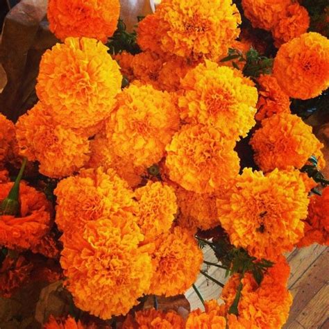 Maybe you would like to learn more about one of these? Building a Day of the Dead Altar | Dia de los muertos ...