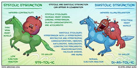 Acute injury of the myocytes (acute myocarditis) and to activation histopathological findings in hearts of patients with myocarditis. Systolic vs Diastolic Dysfunction | Heart failure nursing ...