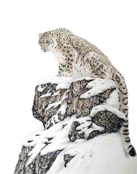 Cheetah PNG - Leopard/Cheetah Free Png Image | Animals ...