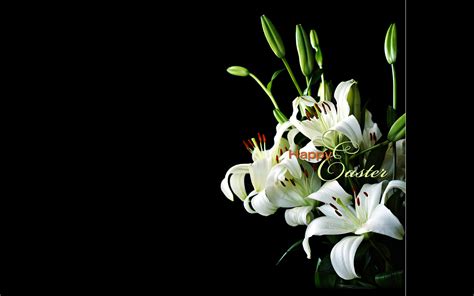 Free Download Free Holiday Wallpapers Easter Lily Wallpapers 1280x800