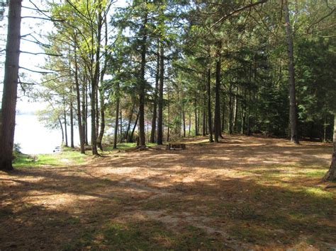Even though chicago lake (188 acres) is a busy lake, you can still see and hear loons. Campground | Chicago Lake Dispersed Campsite, Hiawatha ...