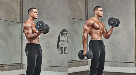The 30-Minute Dumbbell Workout to Build Your Biceps ...