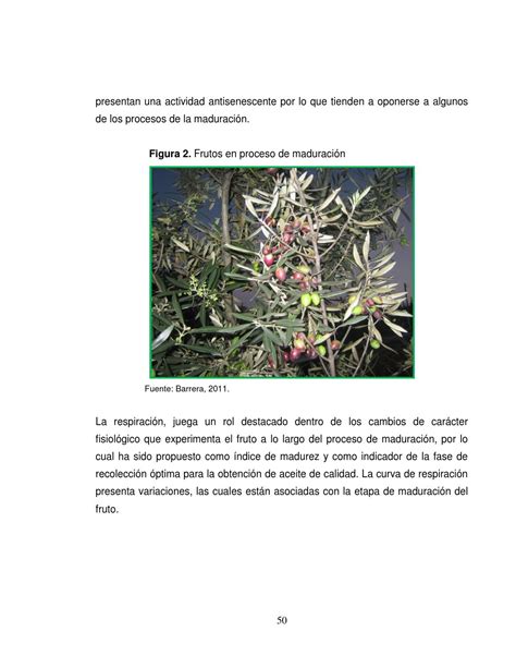 Composición físico química y bromatológica de las aceitunas by Medicina