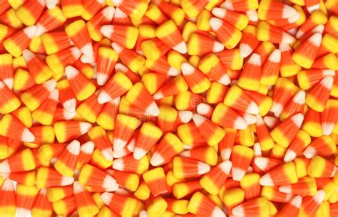 Candy Corn Stock Photo Image Of Sugar Color Treat 11302158