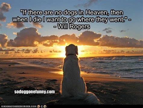 If There Are No Dogs In Heaven Then When I Die I Want To Go Where