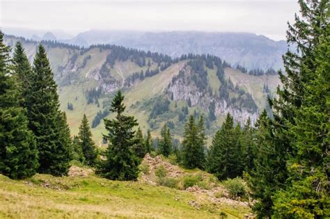 21 Photos Of Bregenzerwald Austria That Will Ignite Your Wanderlust