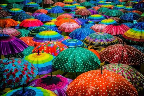 13 Different Types Of Umbrellas