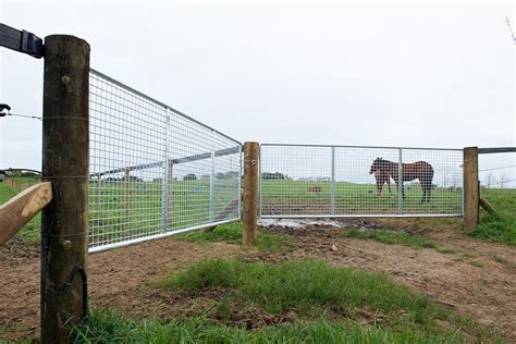 Horse Safe Gates Magnum Nz