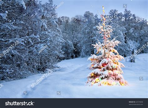 Christmas Tree Snow Colored Lights Stock Photo 62574658