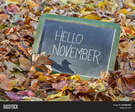 Hello November Image And Photo Free Trial Bigstock