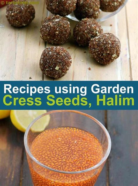 Garden cress seeds in tamil name. Garden Cress Seeds Called In Hindi - Garden Cress Seeds