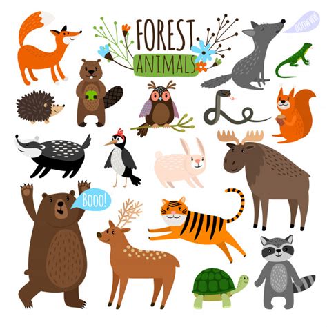 Forest Animals Woodland Cute Animal Set Drawing Vector