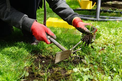 The Best Ways To Pull Weeds Landscaping Tips And Lawn Cutting Services