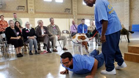 Inmates Make Shelter Dogs Adoptable