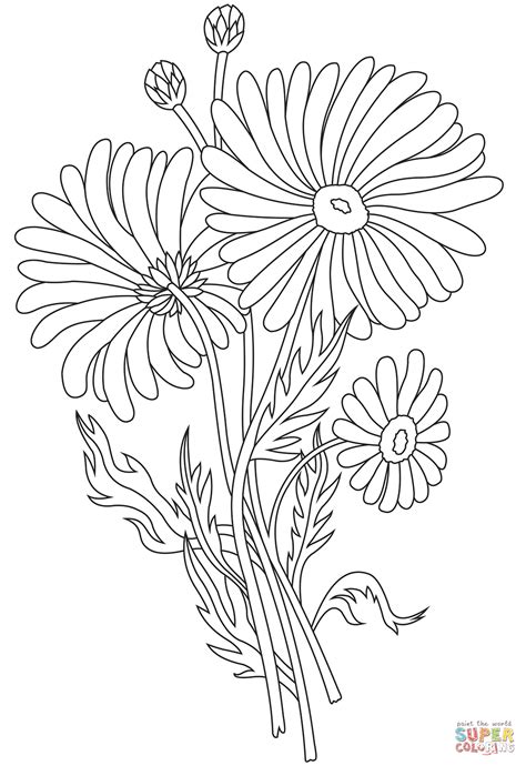 Printable Daisy Coloring Pages Printable World Holiday