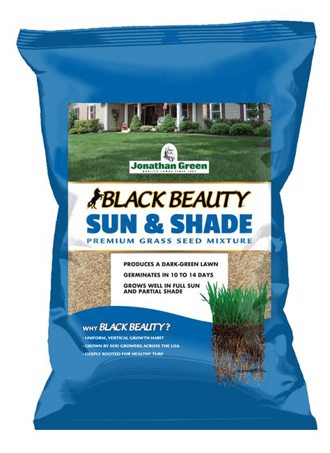 Grass Seed For Shady Areas Lupon Gov Ph