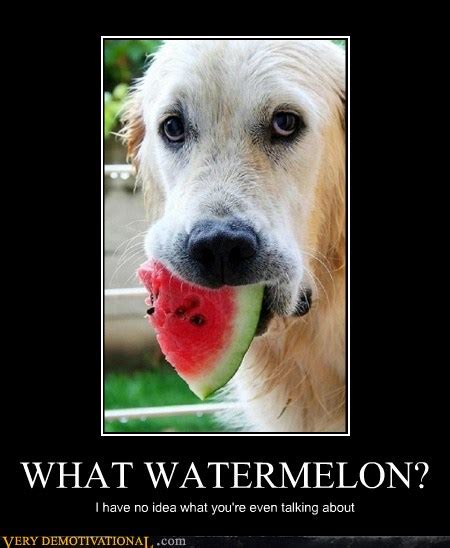 Very Demotivational Watermelon Page 2 Very Demotivational Posters
