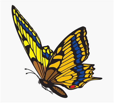 Flying Butterfly Clipart Png Transparent Png Png ิ Butterfly